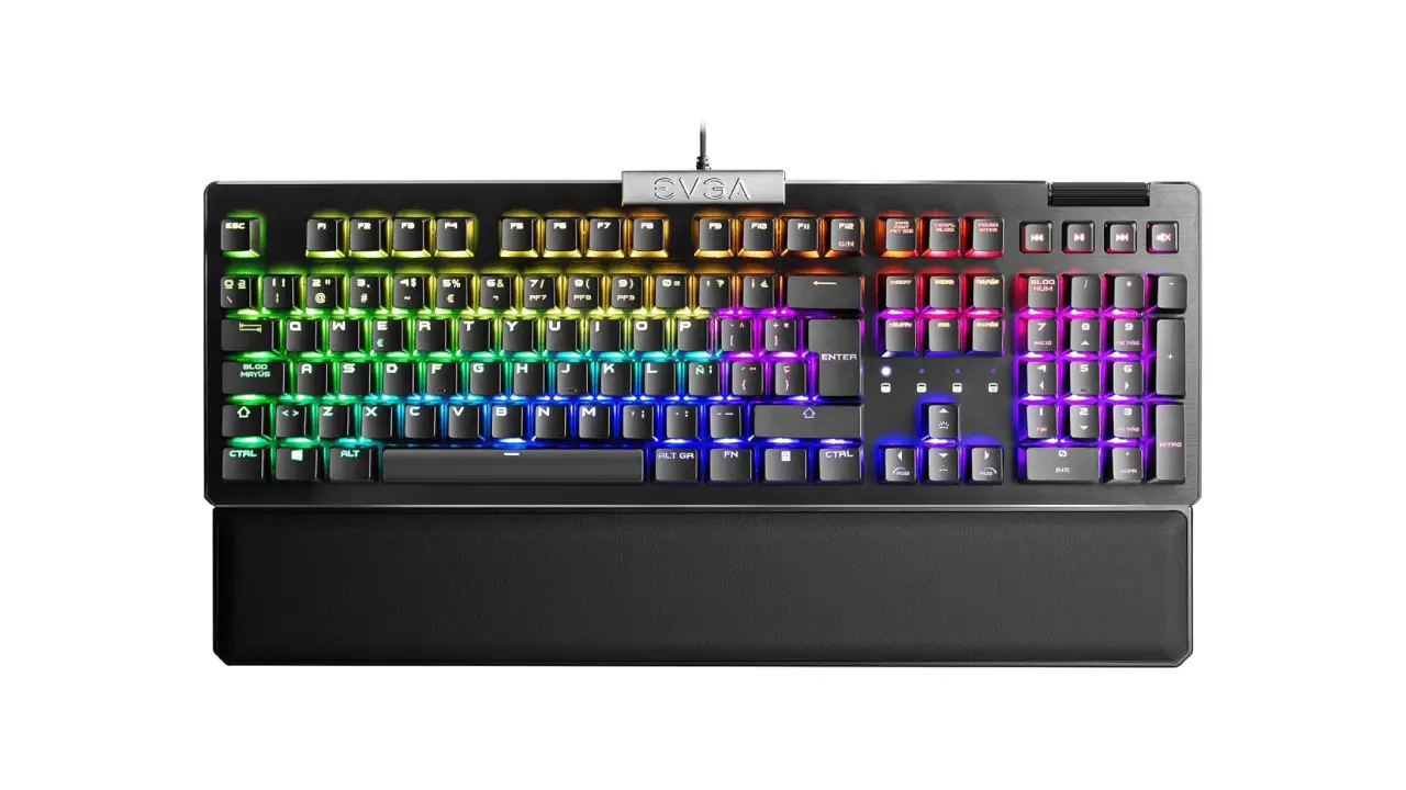 The 5 Best Budget Gaming Keyboards That Don’t Feel Cheap 6 EVGA Z15 RGB Mechanical Gaming Keyboard